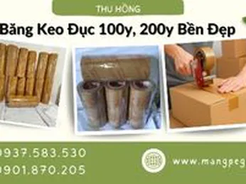 Băng keo đục 100y, 200y dính tốt bền đẹp giá sỉ