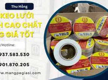 Băng keo lưới thạch cao cho công trình xây dựng