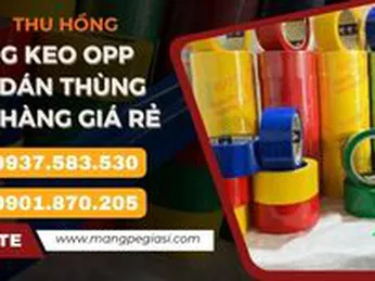 Băng keo OPP màu dán thùng đóng hàng giá rẻ
