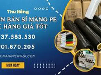 Chuyên bán sỉ màng PE bọc hàng đủ kích thước giá tốt