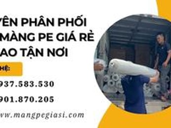 Chuyên phân phối cuộn màng PE lớn giá rẻ giao tận nơi