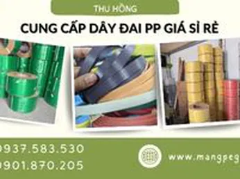 Cung cấp dây đai nhựa PP đóng hàng giá sỉ tại xưởng
