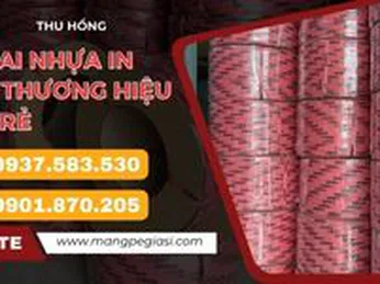 Dây đai nhựa in logo, thương hiệu bền đẹp giá rẻ