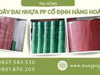 Dây đai nhựa PP cố định hàng chính hãng giá tốt nhất