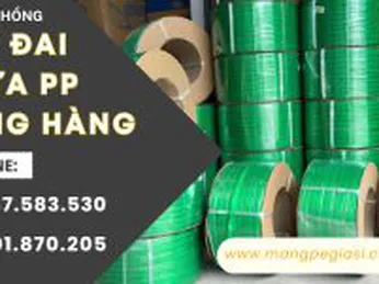 Dây đai nhựa PP đóng hàng chất lượng giá sỉ