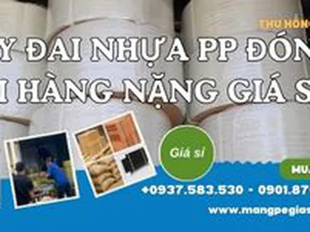 Dây đai nhựa PP đóng kiện hàng nặng giá sỉ