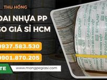 Dây đai nhựa PP in logo giá sỉ HCM