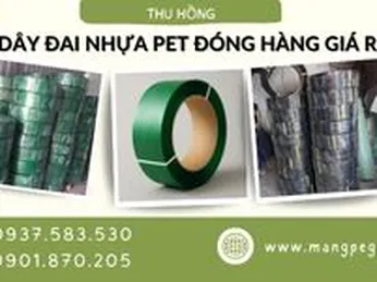 Dây đai nhựa PET cố định hàng hoá giá rẻ