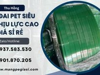 Dây đai PET siêu bền chịu lực cao giá sỉ sát xưởng