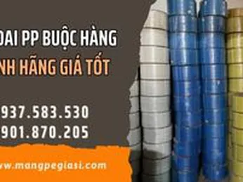 Dây đai PP buộc hàng chính hãng giá tốt