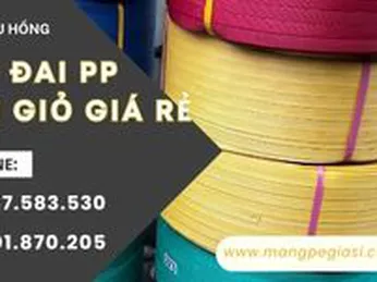 Dây đai PP đan giỏ bền đẹp giá rẻ sát xưởng