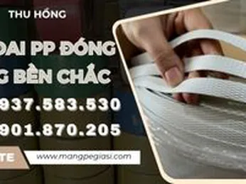 Dây đai PP đóng hàng bền chắc giá rẻ tận xưởng