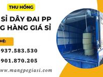 Dây đai PP đóng hàng giá sỉ, bền đẹp sẵn kho số lượng lớn