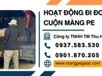 Đi đơn 500 cuộn màng PE chất lượng giá tốt cho đại lý