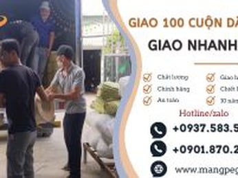 Đi Đơn Giao Sỉ 100 Cuộn Dây Đai PP Nhanh Chóng Tại Thu Hồng