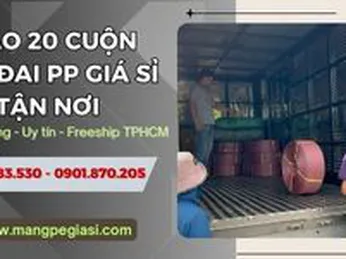 Giao 20 cuộn dây đai PP buộc hàng giá sỉ tận nơi