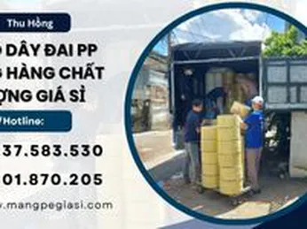 Giao Dây Đai PP Đóng Hàng Chất Lượng Giá Sỉ Rẻ Nhất TPHCM