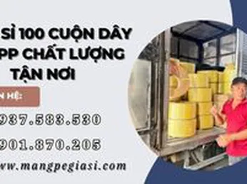 Giao sỉ 100 cuộn dây đai nhựa PP chất lượng tận nơi