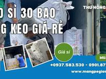 Giao sỉ 30 bao băng keo chất lượng giá rẻ cho đại lý