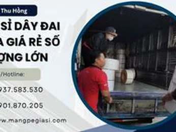 Giao sỉ dây đai nhựa đóng thùng, đóng pallet giá rẻ số lượng lớn