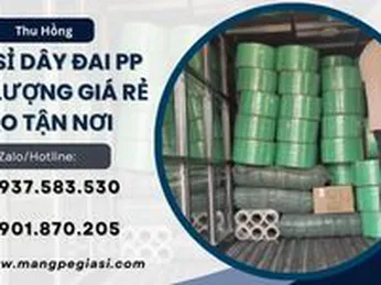 Giao sỉ dây đai PP chất lượng cao giá rẻ tận nơi tại TPHCM