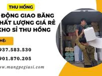 Hoạt động giao băng keo chất lượng giá rẻ tại kho sỉ Thu Hồng