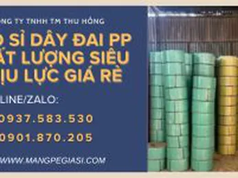 Kho sỉ dây đai PP chất lượng siêu chịu lực giá rẻ