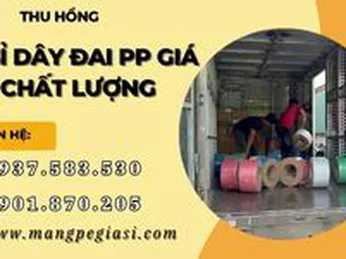 Kho sỉ dây đai nhựa PP chất lượng giá rẻ giao tận nơi