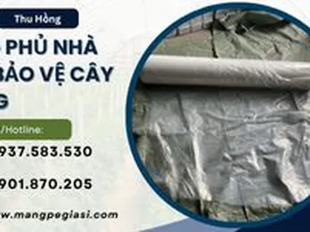 Màng phủ nhà kính nông nghiệp bảo vệ cây trồng