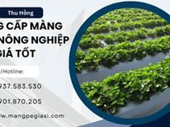 Cung cấp màng phủ nông nghiệp 1m2 giá tốt