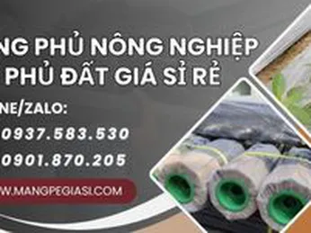 Màng phủ nông nghiệp, bạt phủ đất chất lượng giá rẻ