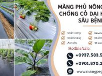Màng phủ nông nghiệp chống cỏ dại hạn chế sâu bệnh