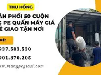 Phân phối 50 cuộn màng PE khổ lớn quấn máy giá rẻ giao tận nơi