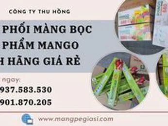 Phân phối màng bọc thực phẩm Mango chính hãng giá rẻ
