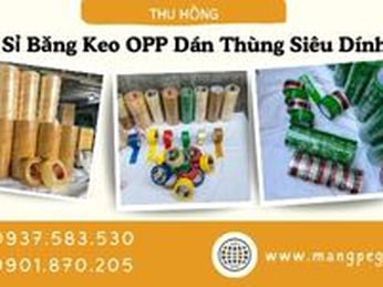 Sỉ băng keo OPP dán thùng siêu dính siêu bền