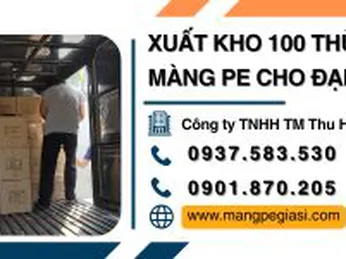 Xuất kho 100 thùng màng PE cho đại lý tại TPHCM