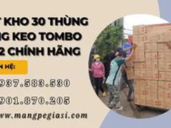 Xuất kho 30 thùng băng keo Tombo 9082 chính hãng cho khách sỉ
