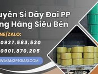 Chuyên sỉ dây đai nhựa PP đóng hàng siêu bền giá tốt