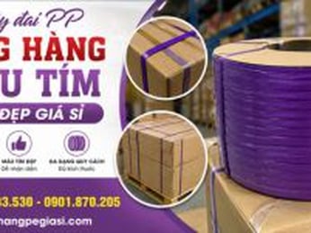 Dây đai PP đóng hàng màu tím bền đẹp giá sỉ