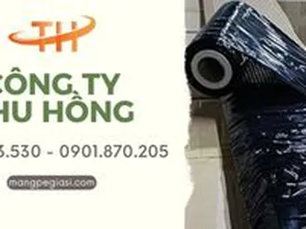 Màng PE giá rẻ chống nước, chống bụi cho hàng hóa