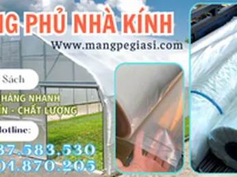 Màng phủ nhà kính giá sỉ tại Vĩnh Lộc B