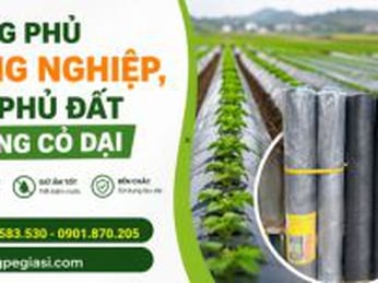 Màng phủ nông nghiệp, bạt phủ đất chống cỏ dại giá rẻ sẵn kho