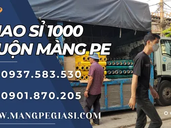 Xuất kho số lượng lớn màng PE giao nhà xưởng sáng nay