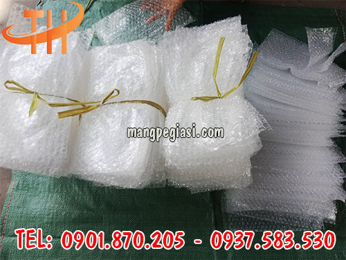 Túi chống va đập