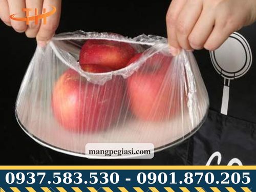 Túi bọc thực phẩm có chun