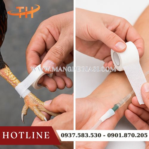 Ứng dụng của băng keo đá gà Ứng dụng của băng keo đá gà