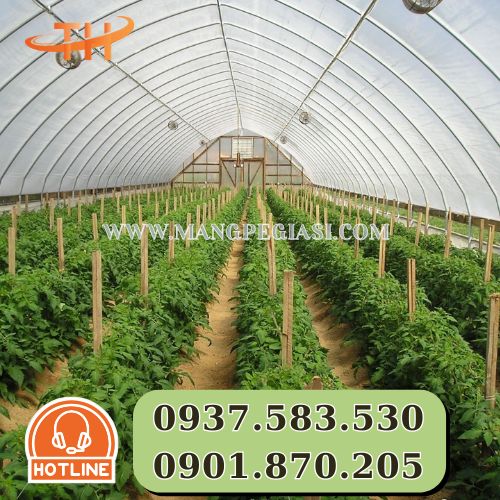 Ứng dụng của màng phủ nhà kính Ứng dụng của màng phủ nhà kính