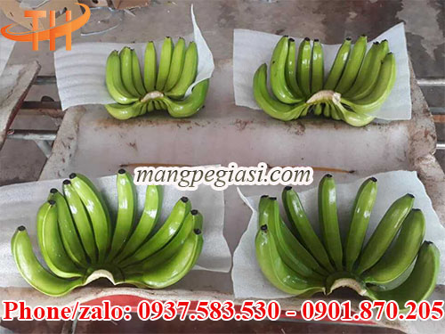 Xốp foam lót trái cây