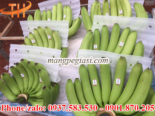 Xốp foam giá sỉ