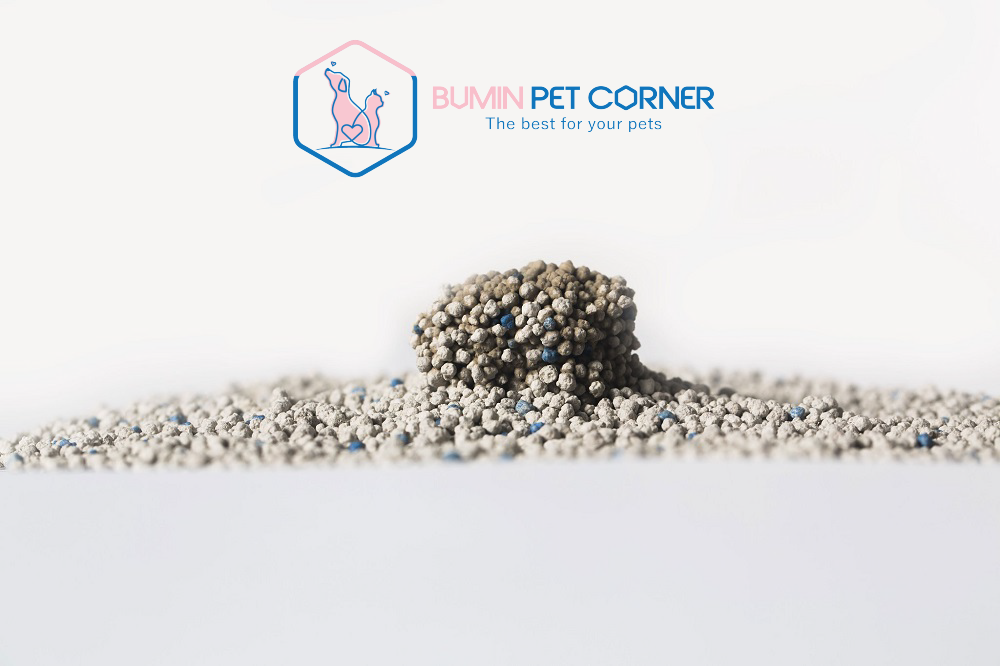 Cát đất sét có khả năng vón cục rất tốt